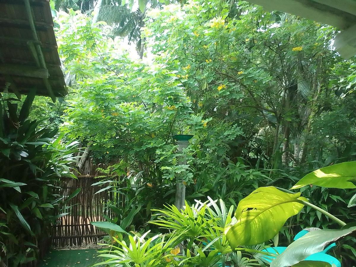 Ferienwohnung Hiriketiya Mahi Surf Dikwella Exterior foto