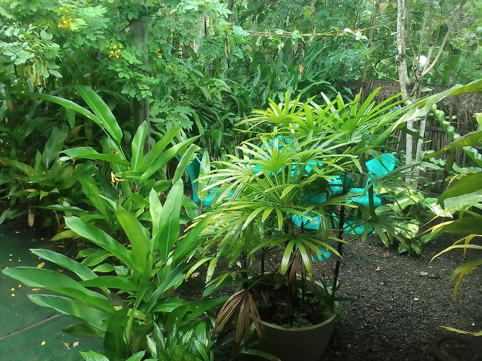 Ferienwohnung Hiriketiya Mahi Surf Dikwella Exterior foto