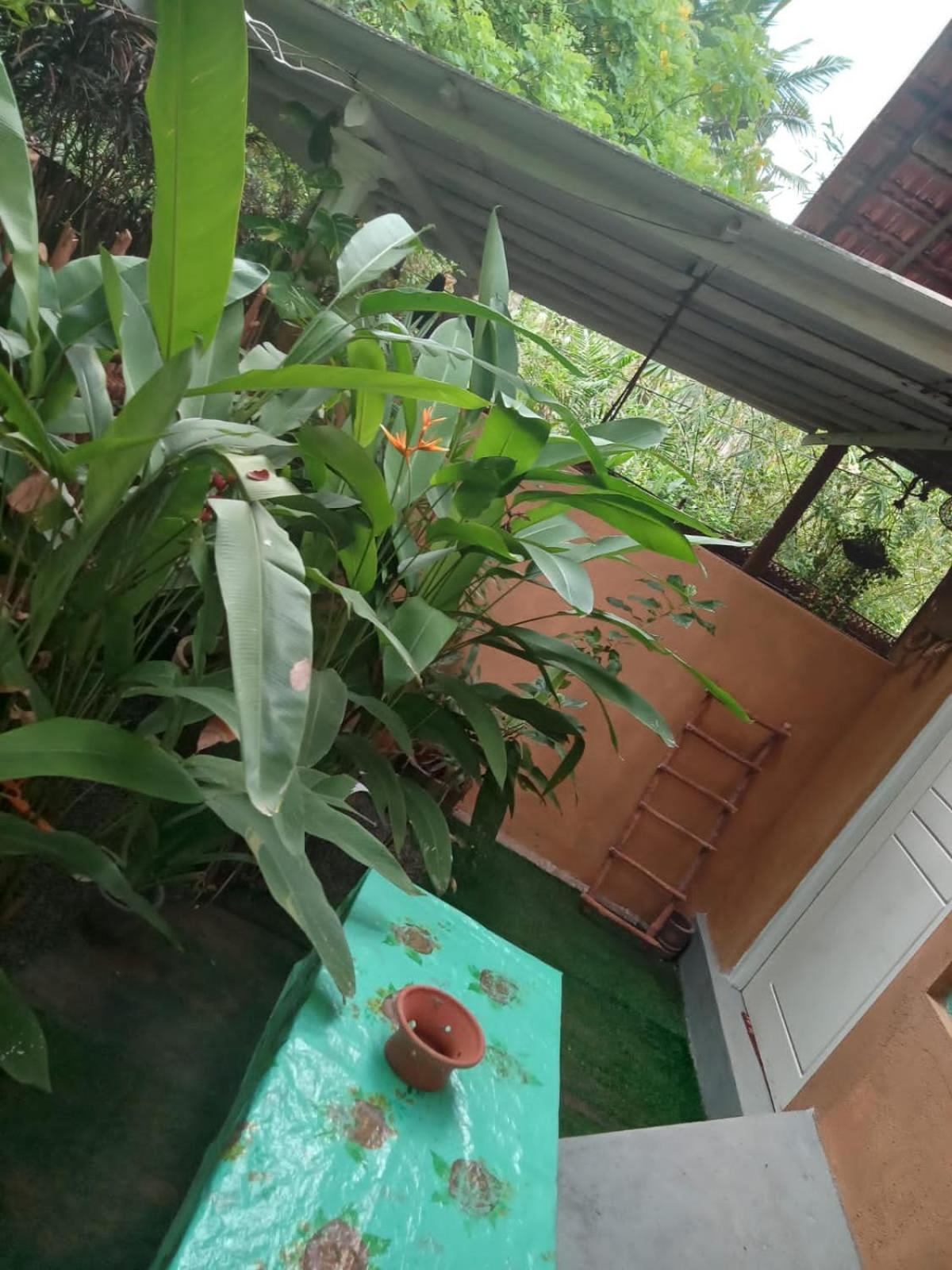Ferienwohnung Hiriketiya Mahi Surf Dikwella Exterior foto