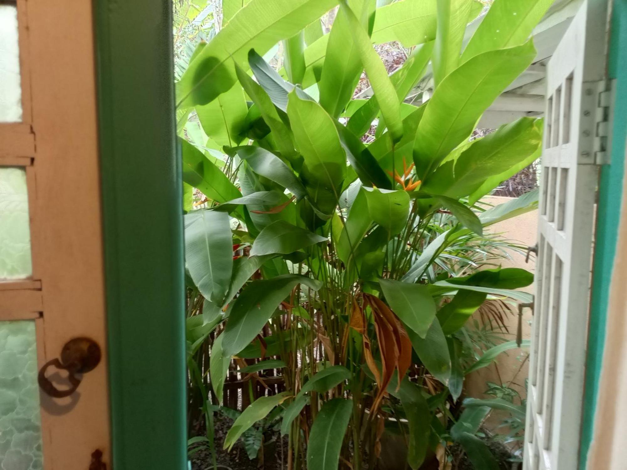 Ferienwohnung Hiriketiya Mahi Surf Dikwella Exterior foto