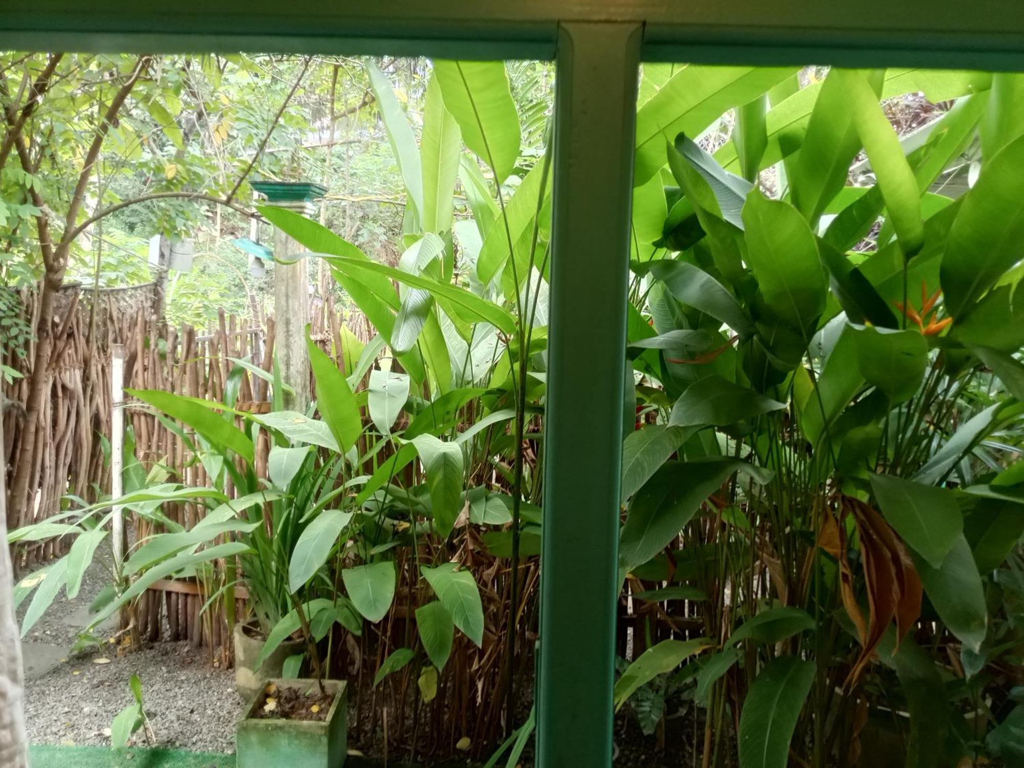 Ferienwohnung Hiriketiya Mahi Surf Dikwella Exterior foto